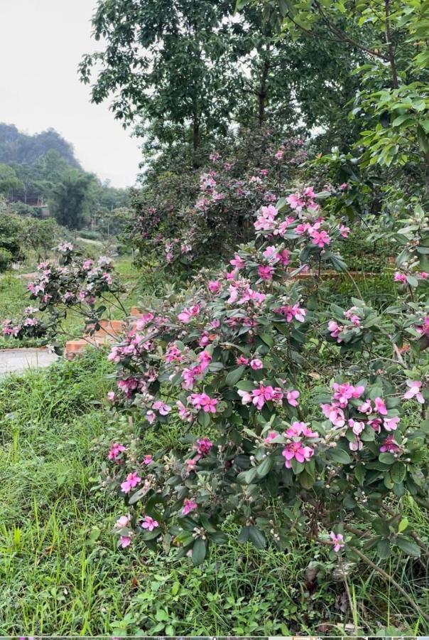 Riverside Homestay Cao Bang Exterior foto